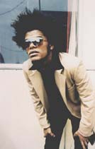 Maxwell